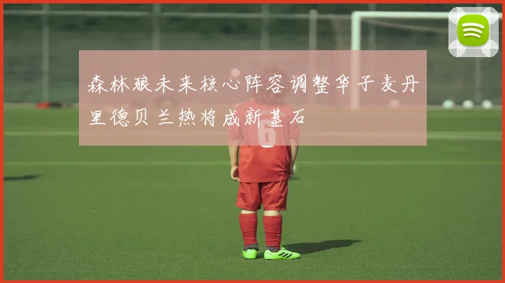 森林狼未来核心阵容调整华子麦丹里德贝兰热将成新基石